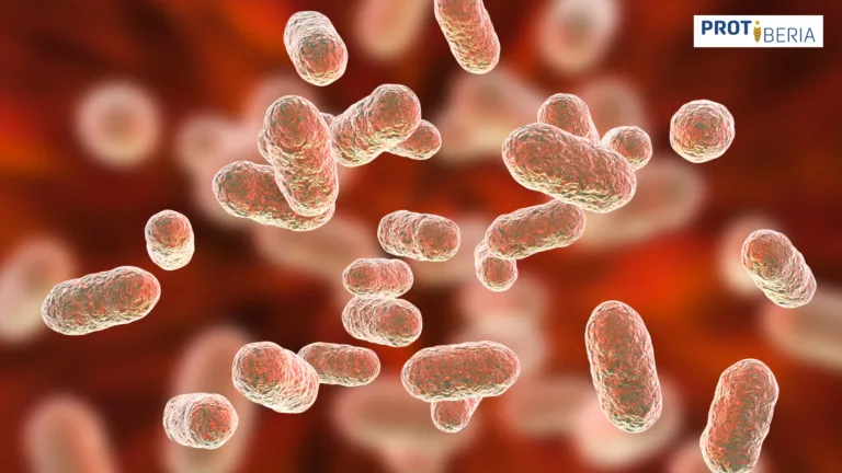 Microbiota del insecto tenebrio molitor