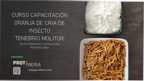 Curso de capacitación - Granja de cría de Tenebrio molitor