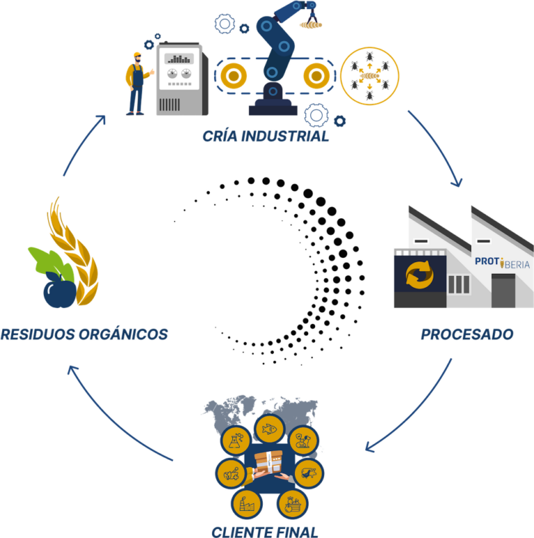 modelo de economía circular de Protiberia
