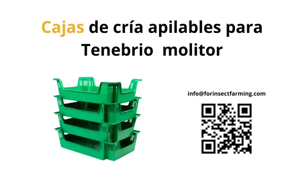 Cajas de cría apilables para Tenebrio molitor