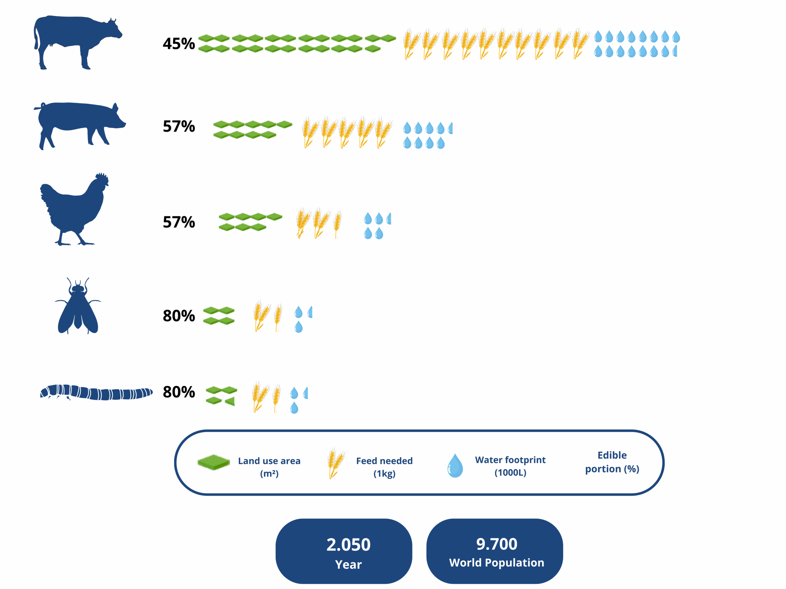 Traditional Livestock Farming vs. Tenebrio molitor
