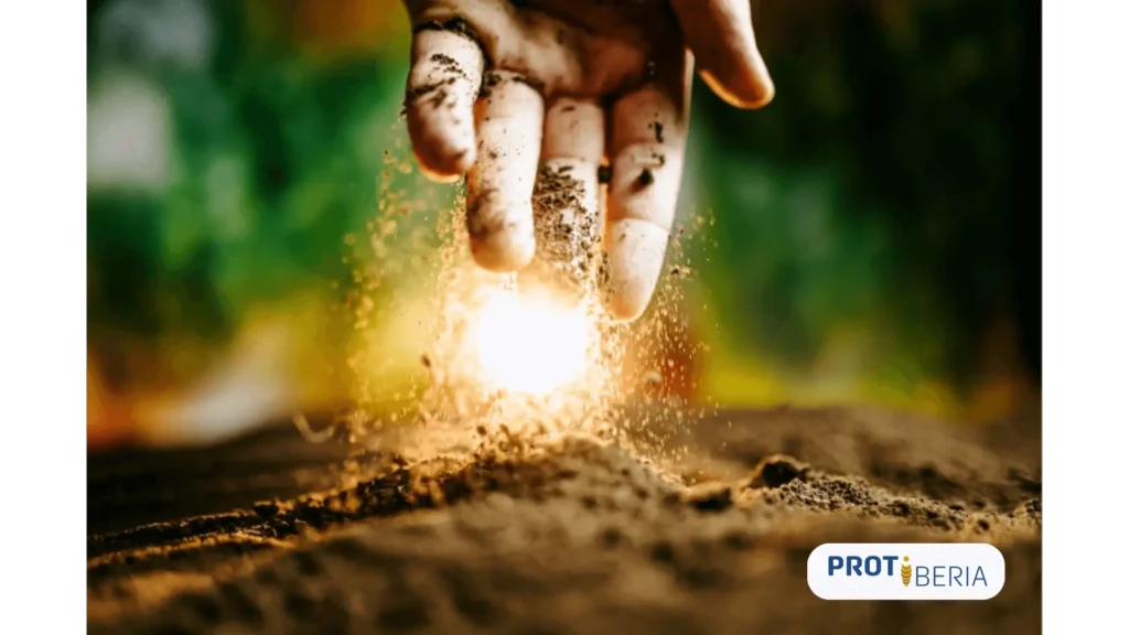 unauthorised-residual-feed-and-safety