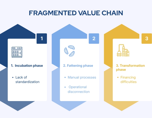 cadena de valor protiberia