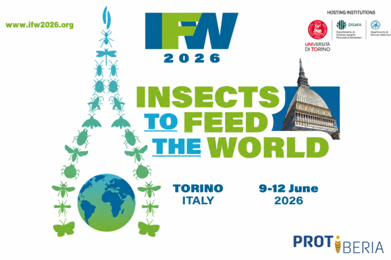 IFW2026