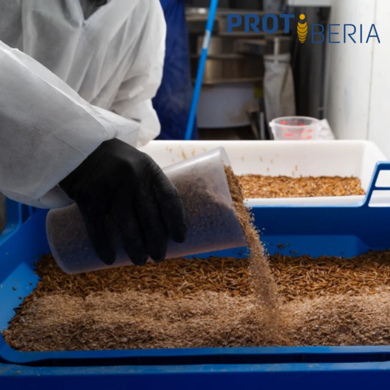 What do mealworms eat to grow strong and healthy? Science has the answer